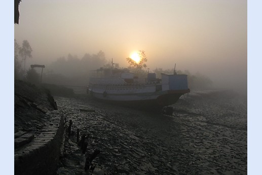 Viaggio in India 2008 - Sunderbans